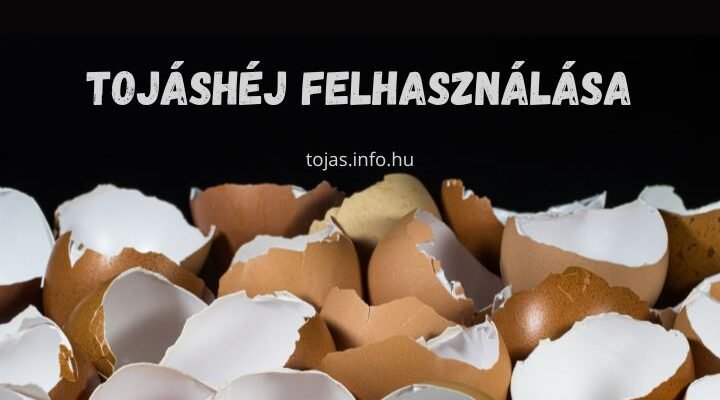 tojáshéj felhasználása
